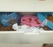 FNTT vykdo ikiteisminį tyrimą dėl įtariamos nelegalios prekybos gintaru ir jo produktais.