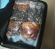 FNTT vykdo ikiteisminį tyrimą dėl įtariamos nelegalios prekybos gintaru ir jo produktais.