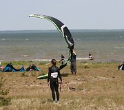 Jėgos aitvarai Juodkrantėje