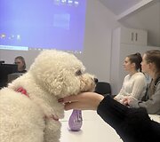 Marija Mik&scaron;taitė pameistrystę ji atliko gyvūnų prekių tinkle &bdquo;Kika&ldquo;, o &scaron;iandien čia jau dirba.