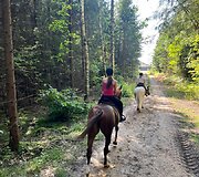 Dovilė Juočiūnaitė meilę žirgams jautė nuo vaikystės, o pameistrystė praplėtė žinias. &Scaron;iandien ji dirba žirgyne. 