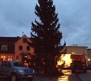 Eglei pastatyti prireikė poros valandų. 