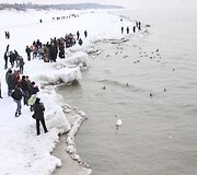 Apledijęs pajūris.