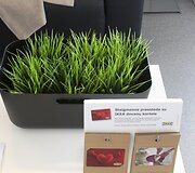 IKEA Klaipėdoje