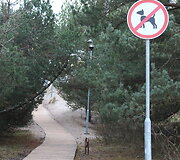 &Scaron;ventoji žiemą &ndash; niūri ir be gyvybės.