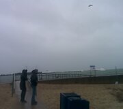 &Scaron;ėlstanti jūra