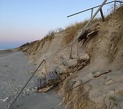 Nidos paplūdimiuose - kalnai į krantą jūros i&scaron;mestų &scaron;iuk&scaron;lių.