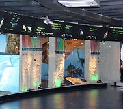 I&scaron; pagrindų atnaujintas Lietuvos jūrų muziejaus akvariumas kviečia naujai pažinti povandeninį pasaulį.