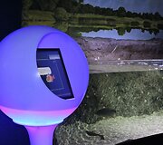 I&scaron; pagrindų atnaujintas Lietuvos jūrų muziejaus akvariumas kviečia naujai pažinti povandeninį pasaulį.