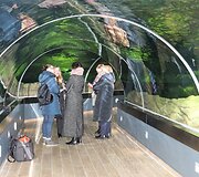 I&scaron; pagrindų atnaujintas Lietuvos jūrų muziejaus akvariumas kviečia naujai pažinti povandeninį pasaulį.