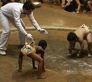 Jaunieji Sumo imtininkai