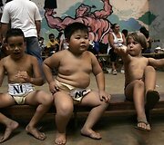 Jaunieji Sumo imtininkai