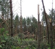 RST imasi papildomų priemonių operatyviai pa&scaron;alinti elektros tiekimo sutrikimus 