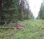 RST imasi papildomų priemonių operatyviai pa&scaron;alinti elektros tiekimo sutrikimus 