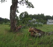 RST imasi papildomų priemonių operatyviai pa&scaron;alinti elektros tiekimo sutrikimus 