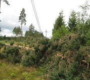 RST imasi papildomų priemonių operatyviai pa&scaron;alinti elektros tiekimo sutrikimus 