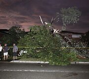 Tornadas niokojo Torontą