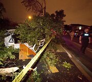 Tornadas niokojo Torontą