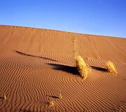 &bdquo;Silk Way 2009&ldquo;