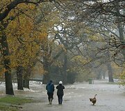Potvynius sukėlė smarkios liūtis
