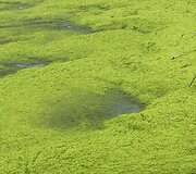 Užter&scaron;tas Hefei ežeras