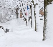 Sniego audros JAV