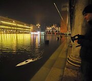 Patvinusi Venecija