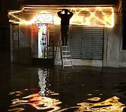 Patvinusi Venecija