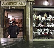 Patvinusi Venecija