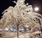 Departamentų darbuotojai dėl saugumo paraginti likti namuose
