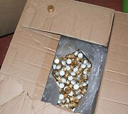 Nelegalaus alkoholio sandėlis