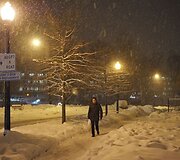 Sniegas ir toliau paralyžiuoja Niujorką