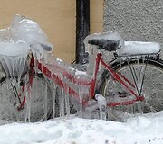 Sniegas ir toliau paralyžiuoja Niujorką