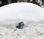 Sniegas ir toliau paralyžiuoja Niujorką