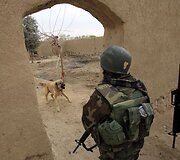 Per NATO antskrydį nukentėjo civiliai