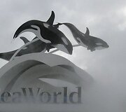 Vandens pramogų parkas &bdquo;SeaWorld&ldquo;