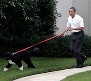 B.Obama vedžioja &scaron;unį