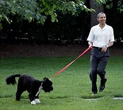 B.Obama vedžioja &scaron;unį