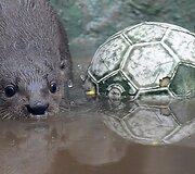 Kolumbijos zoologijos sodas