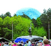 Ar gardi kareivi&scaron;ka ko&scaron;ė?