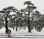 Japonijoje i&scaron;kritęs pirmas gausus sniegas sukėlė nesklandumų.