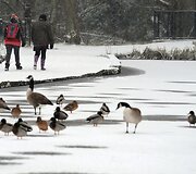 Didžiojoje Britanijoje gausus sniegas sutrikdė gyvenimą
