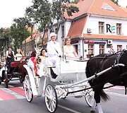 Nuotakų parado ir pajūrio nuotakos rinkimų akimirkos