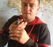 Mariaus ir Renatos Jampolskių chameleonas