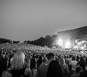 &bdquo;Sel Grand Show 2015&ldquo; Klaipėdoje