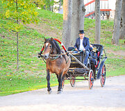 Ilzenbergo dvaro &scaron;ventė