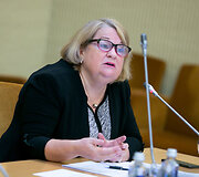 Liudvika Me&scaron;kauskaitė