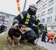 Įvykio vietoje
