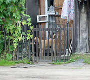 Daugėli&scaron;kio gatvė Vilniuje 