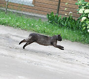 Daugėli&scaron;kio gatvė Vilniuje 
